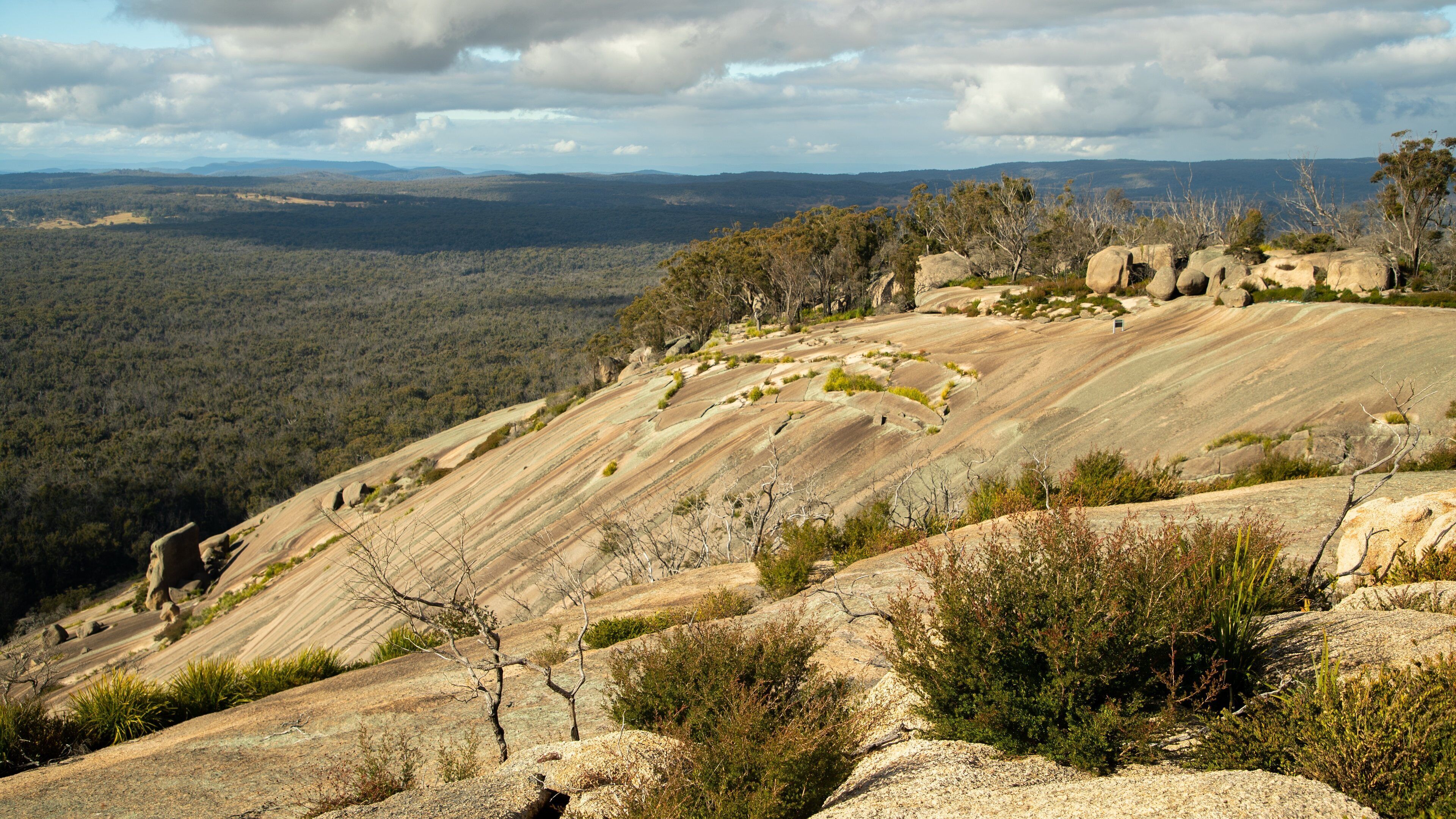 A rugged landscape with layered rock formations, sparse vegetation, and a distant forested area under a cloudy sky.