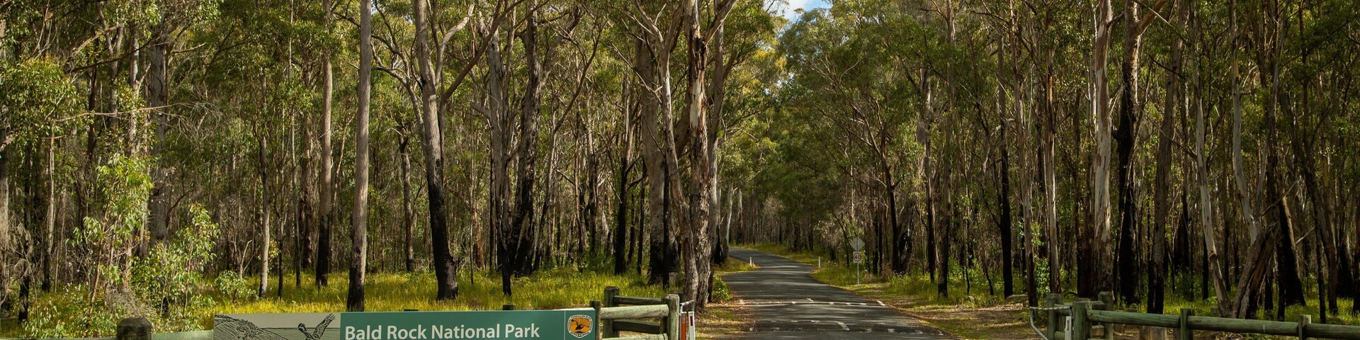 Bald Rock National Park featuring tranquil scenes and signage