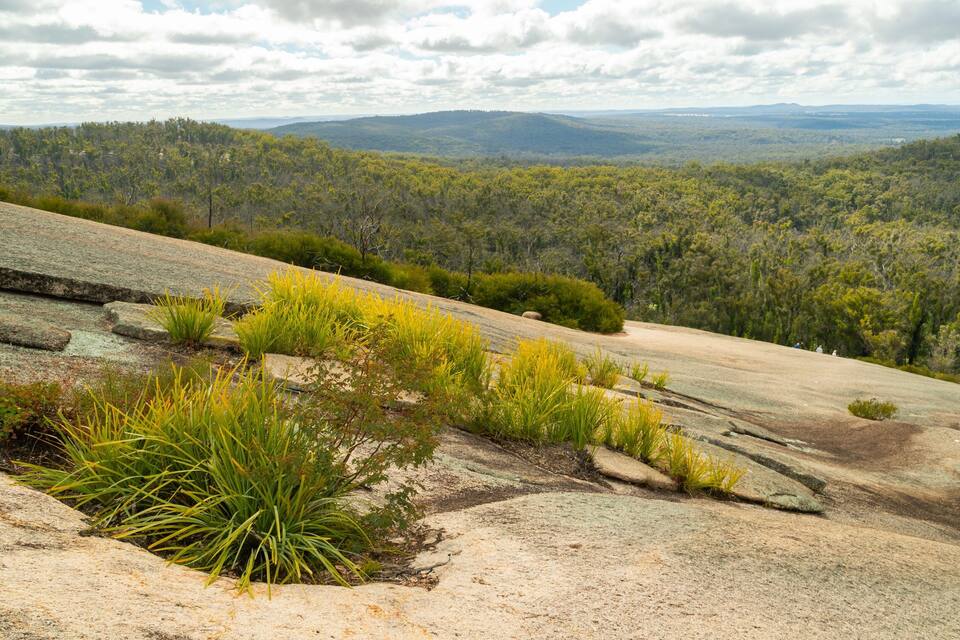 A rocky outcrop with green vegetation and a forested landscape in the background.