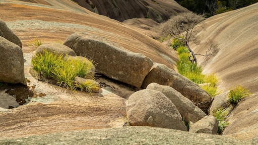 Bald Rock National Park showing tranquil scenes