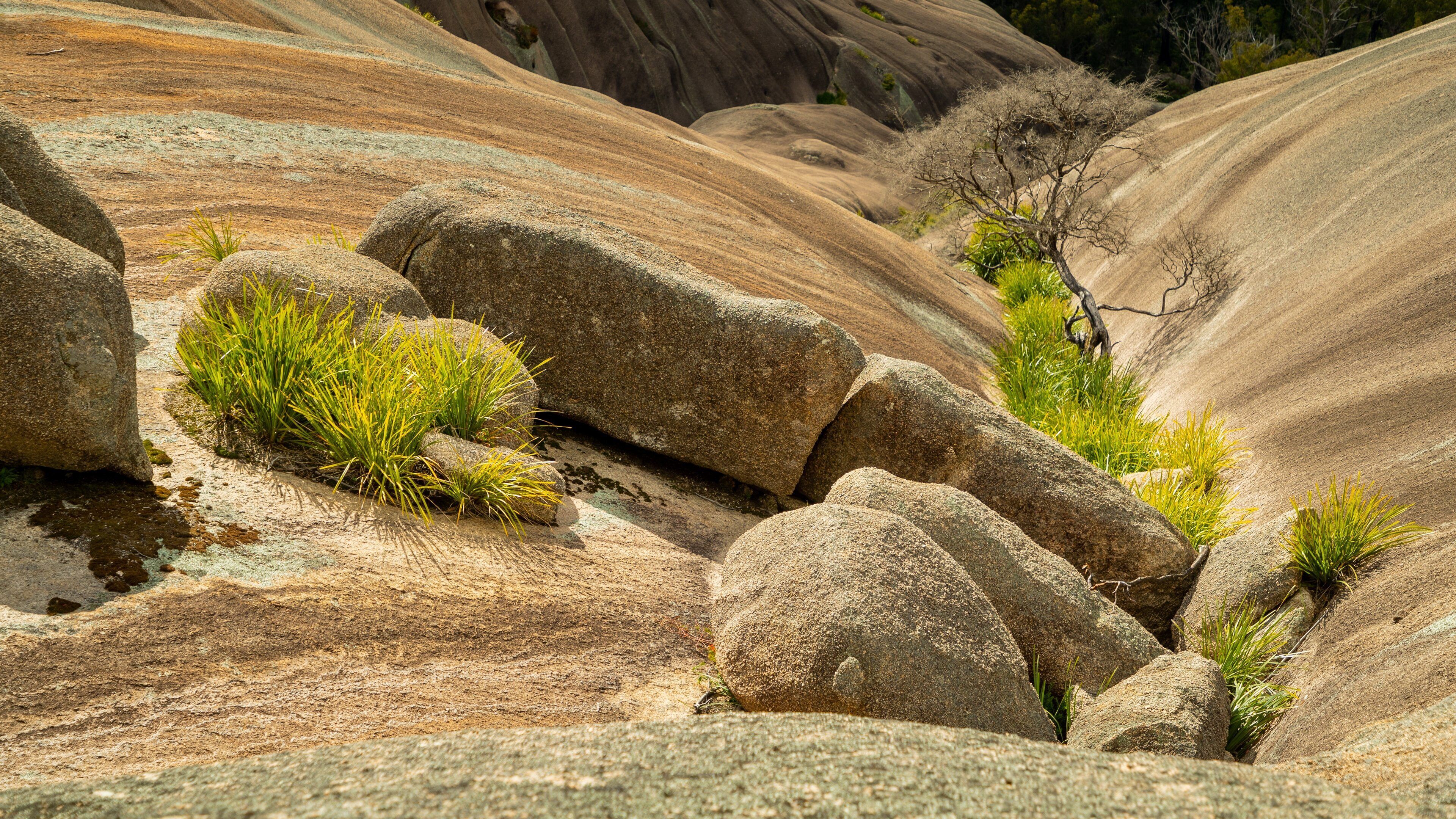 A rocky landscape with large boulders and sparse green vegetation.