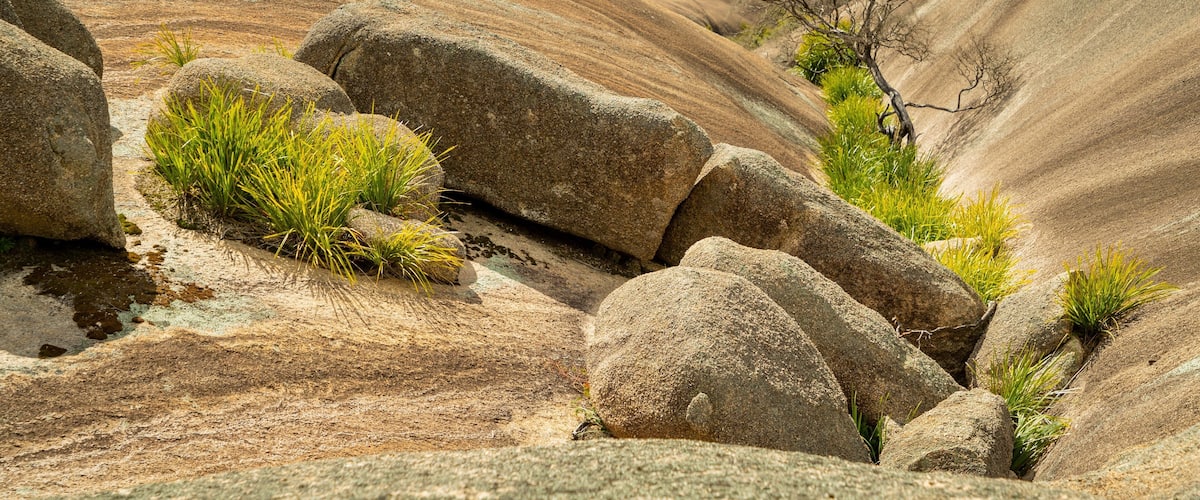 A rocky landscape with large boulders and sparse green vegetation.