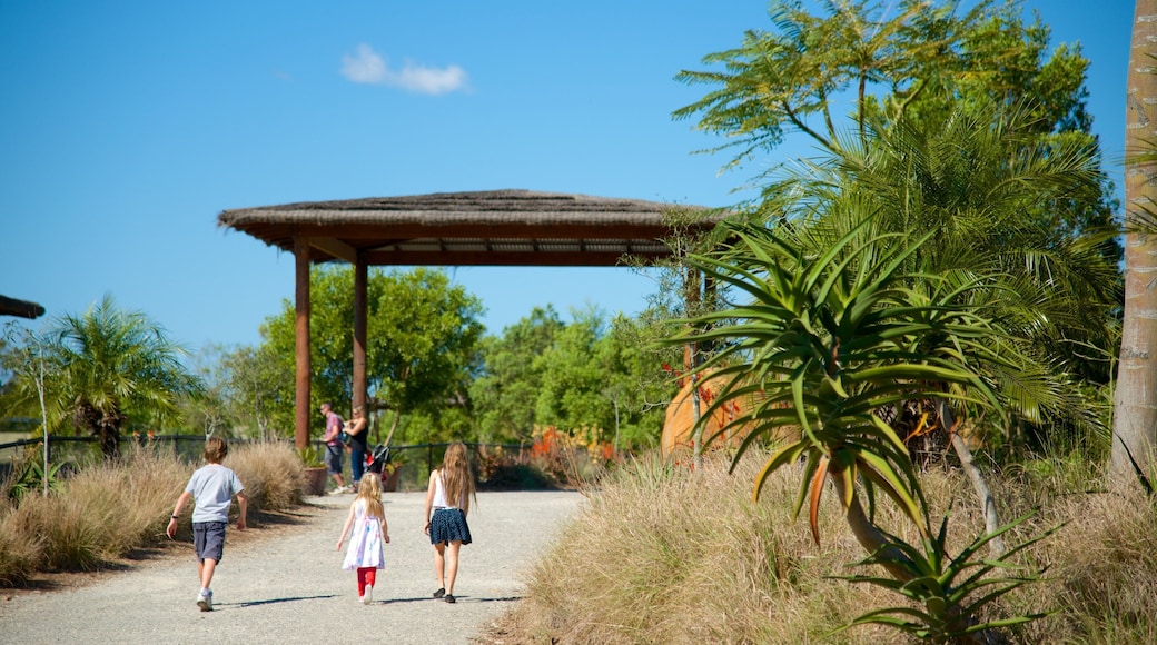 Australia Zoo mettant en vedette animaux de zoo et randonnée ou marche à pied aussi bien que enfants