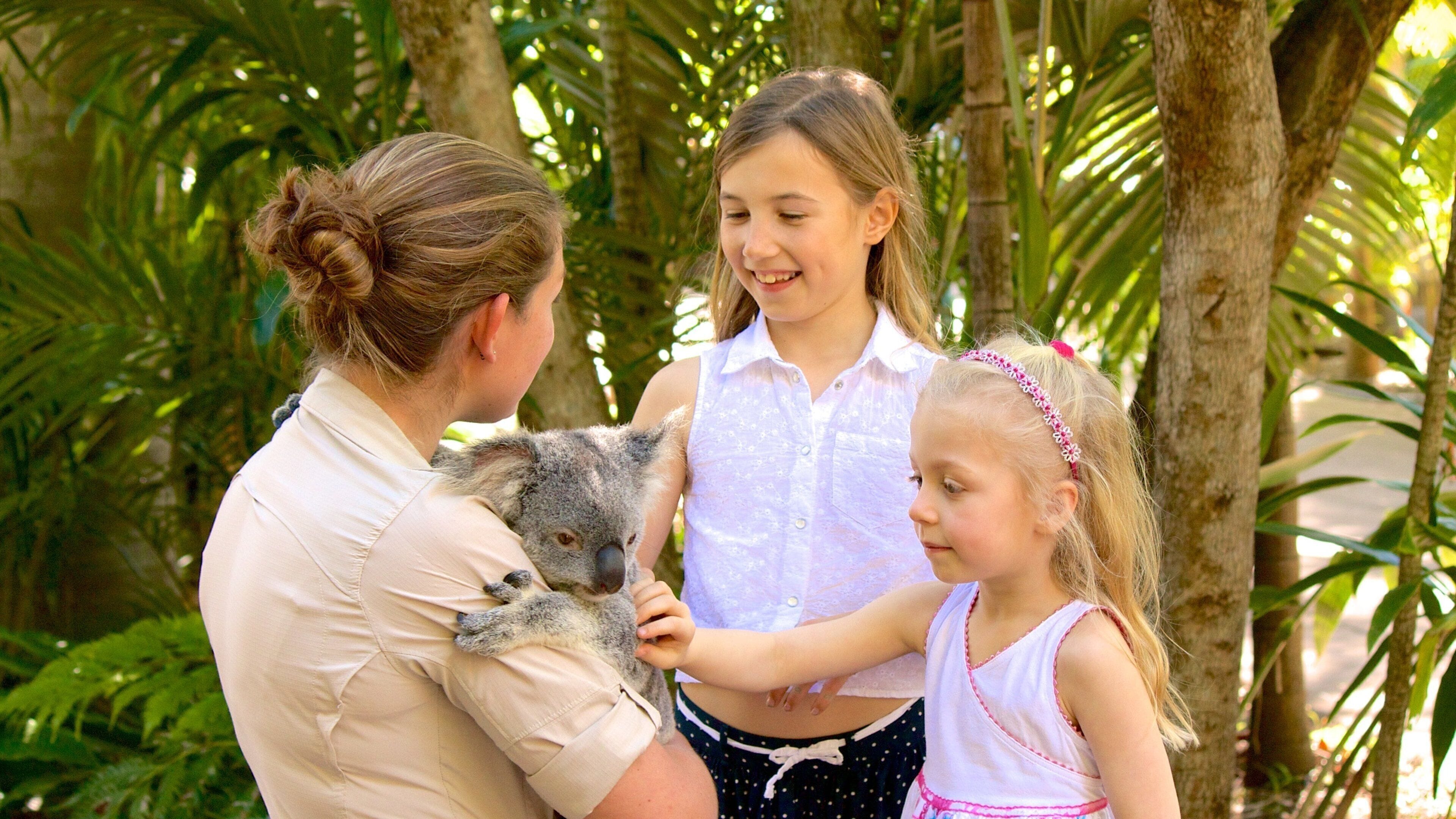 Australia Zoo featuring zoo animals and cuddly or friendly animals as well as a small group of people