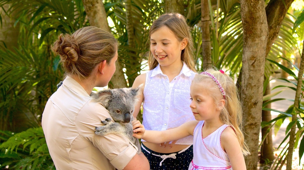 Australia Zoo featuring zoo animals and cuddly or friendly animals as well as a small group of people