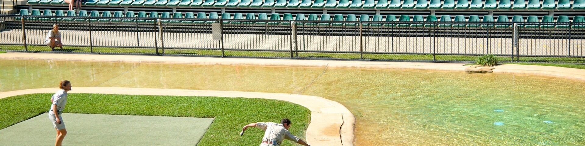 Australia Zoo mostrando animales del zoo, acciones artísticas y animales peligrosos