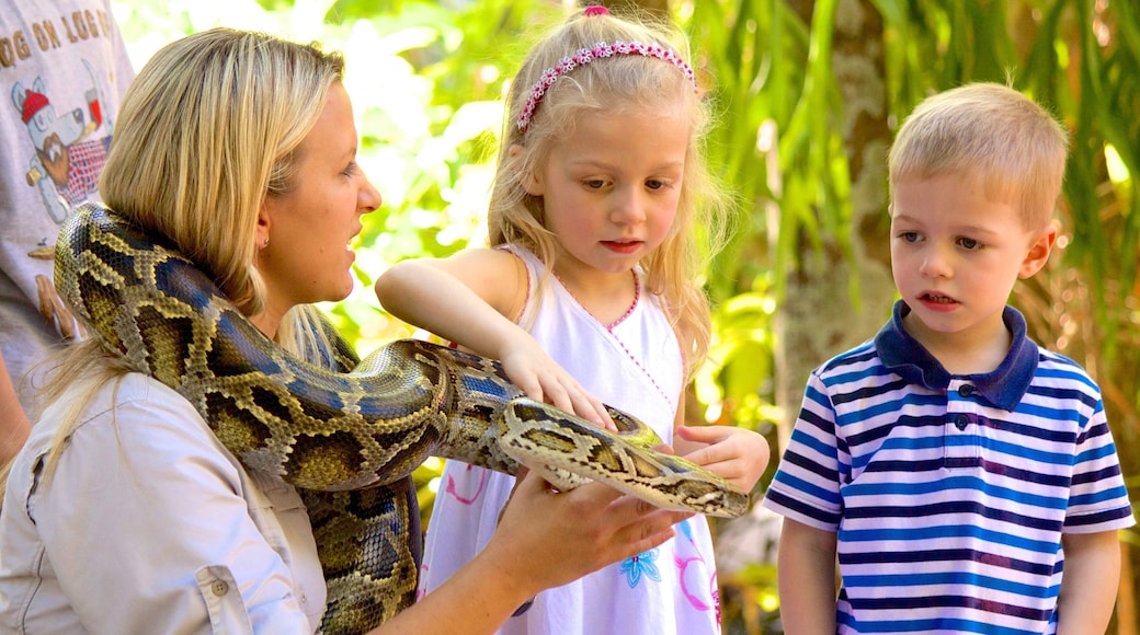Australia Zoo mettant en vedette animaux de zoo et animaux dangereux aussi bien que enfants