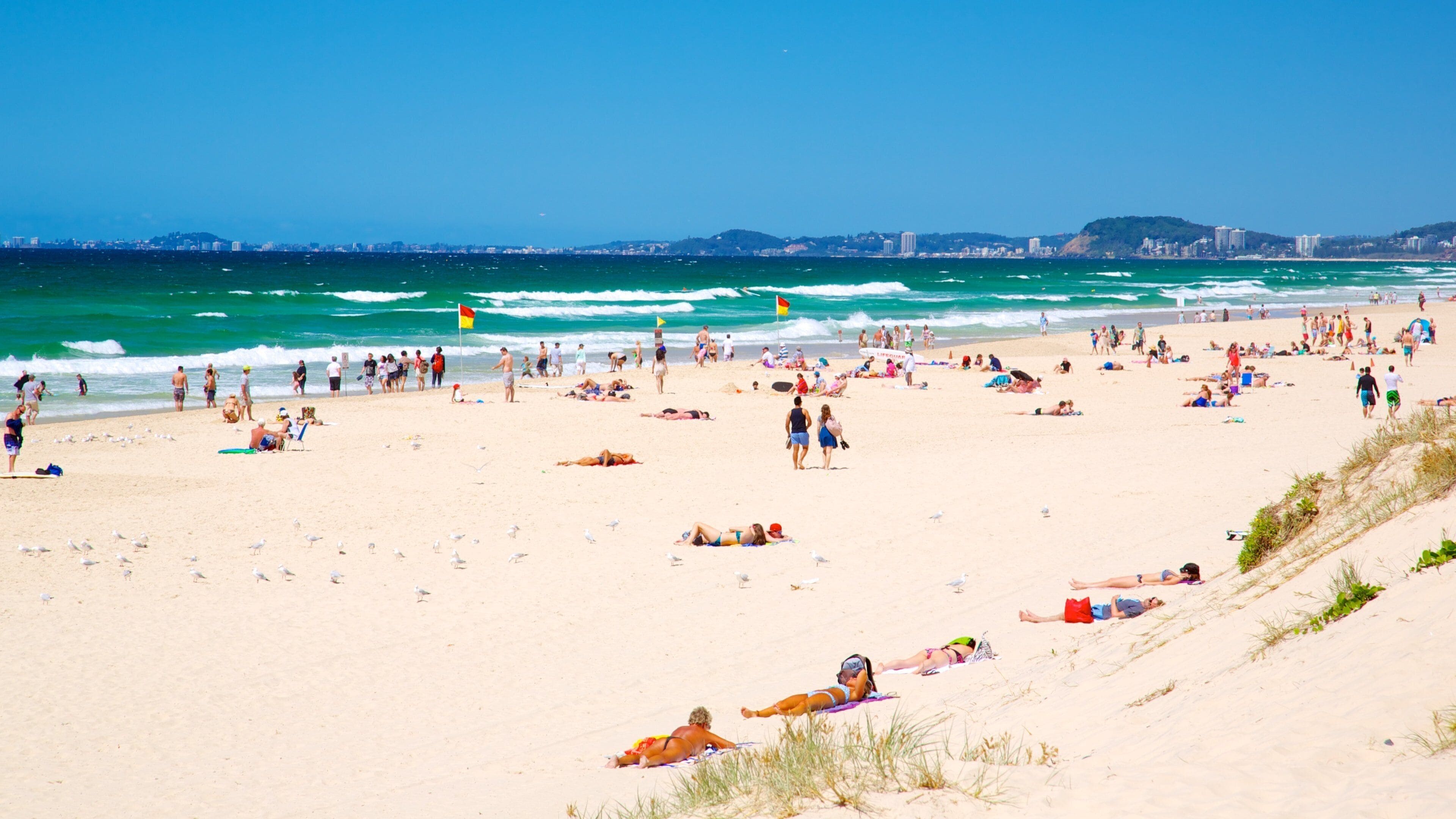 Surfers Paradise Beach featuring a sandy beach and general coastal views