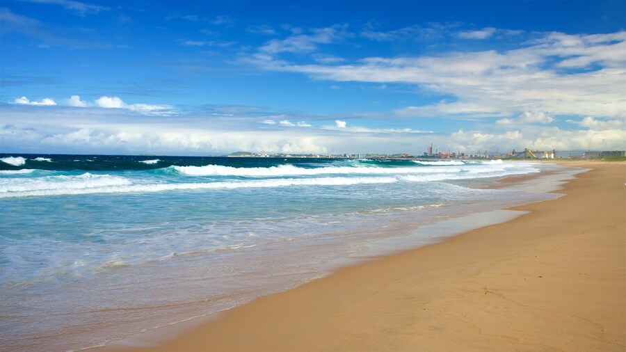 Wollongong South Beach featuring a sandy beach and general coastal views