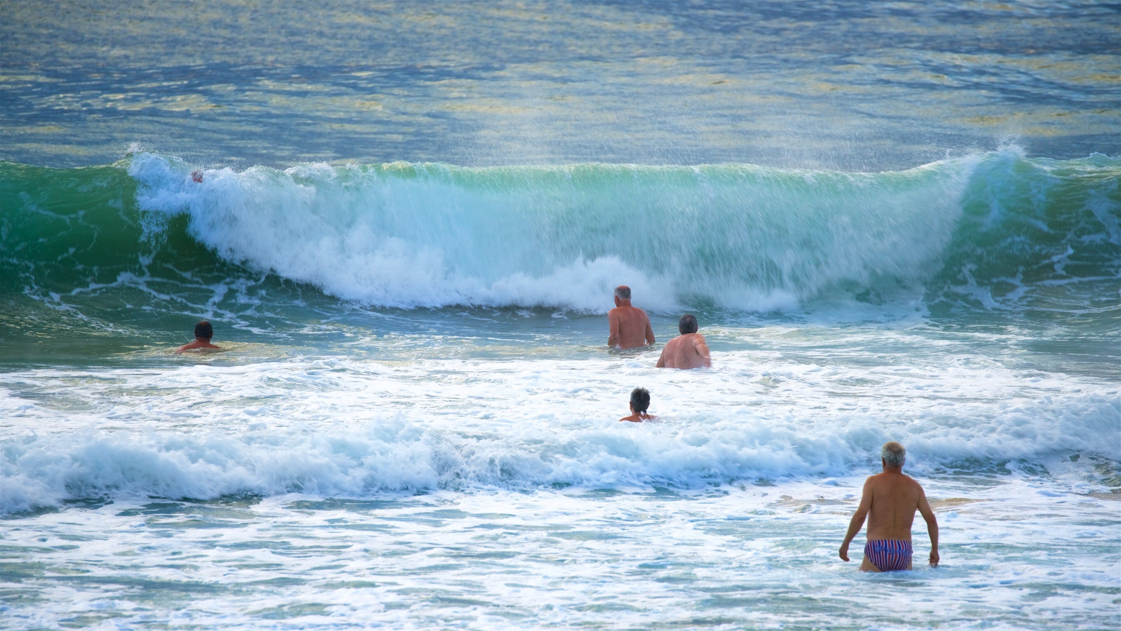 Wollongong North Beach mostrando vista general a la costa, natación y una playa