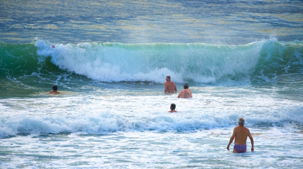 Wollongong North Beach mostrando vista general a la costa, natación y una playa