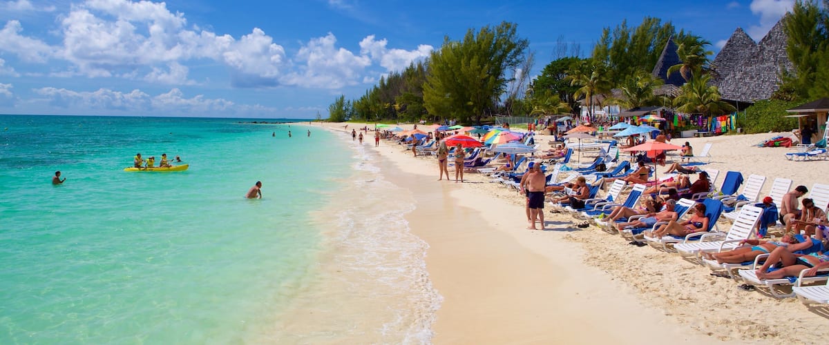 タイノ ビーチ 表示 ビーチ, スイミング と カヤックあるいはカヌー