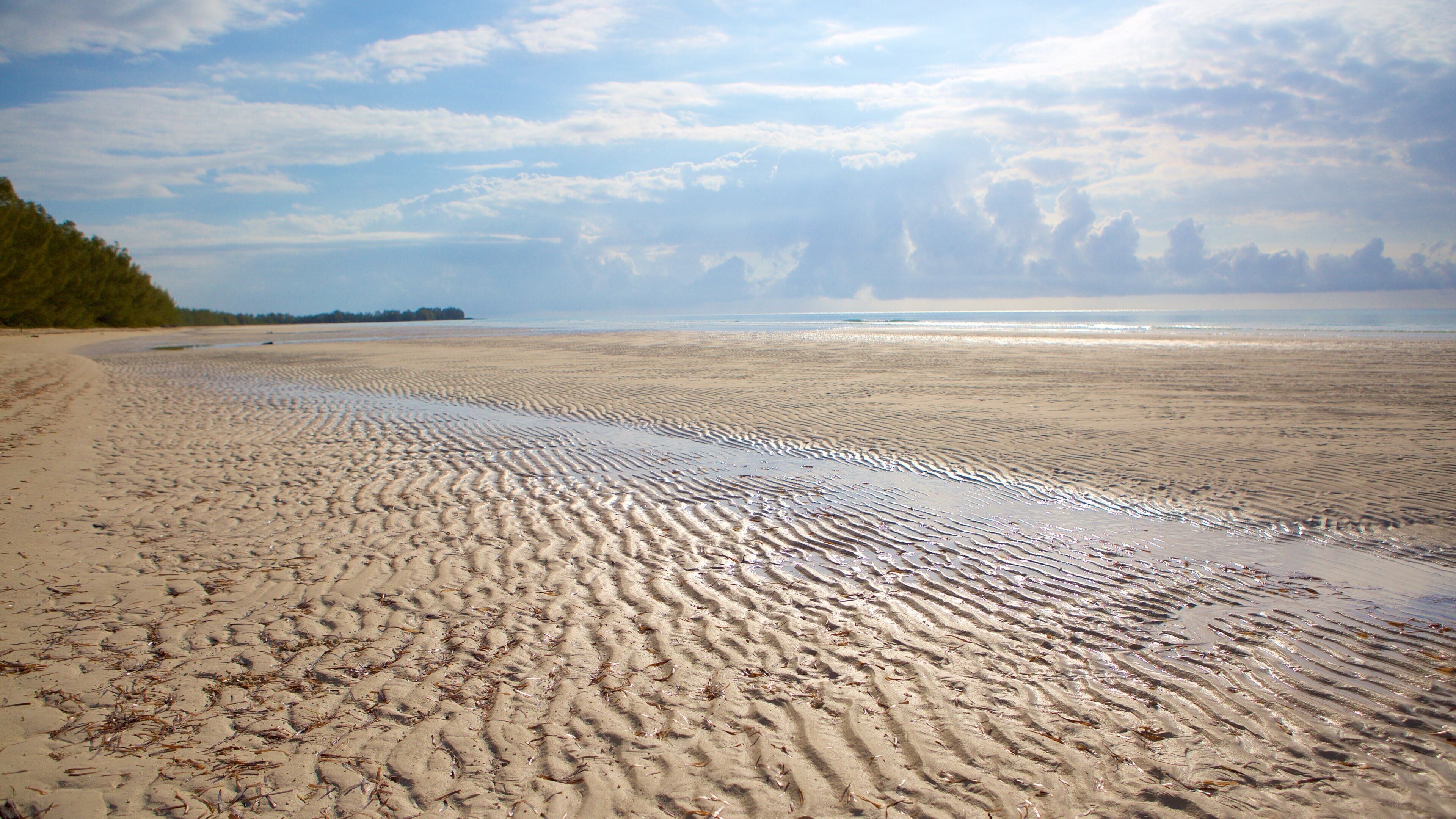Gold Rock Beach featuring a beach
