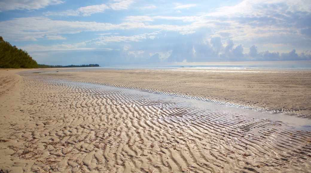 Gold Rock Beach featuring a beach