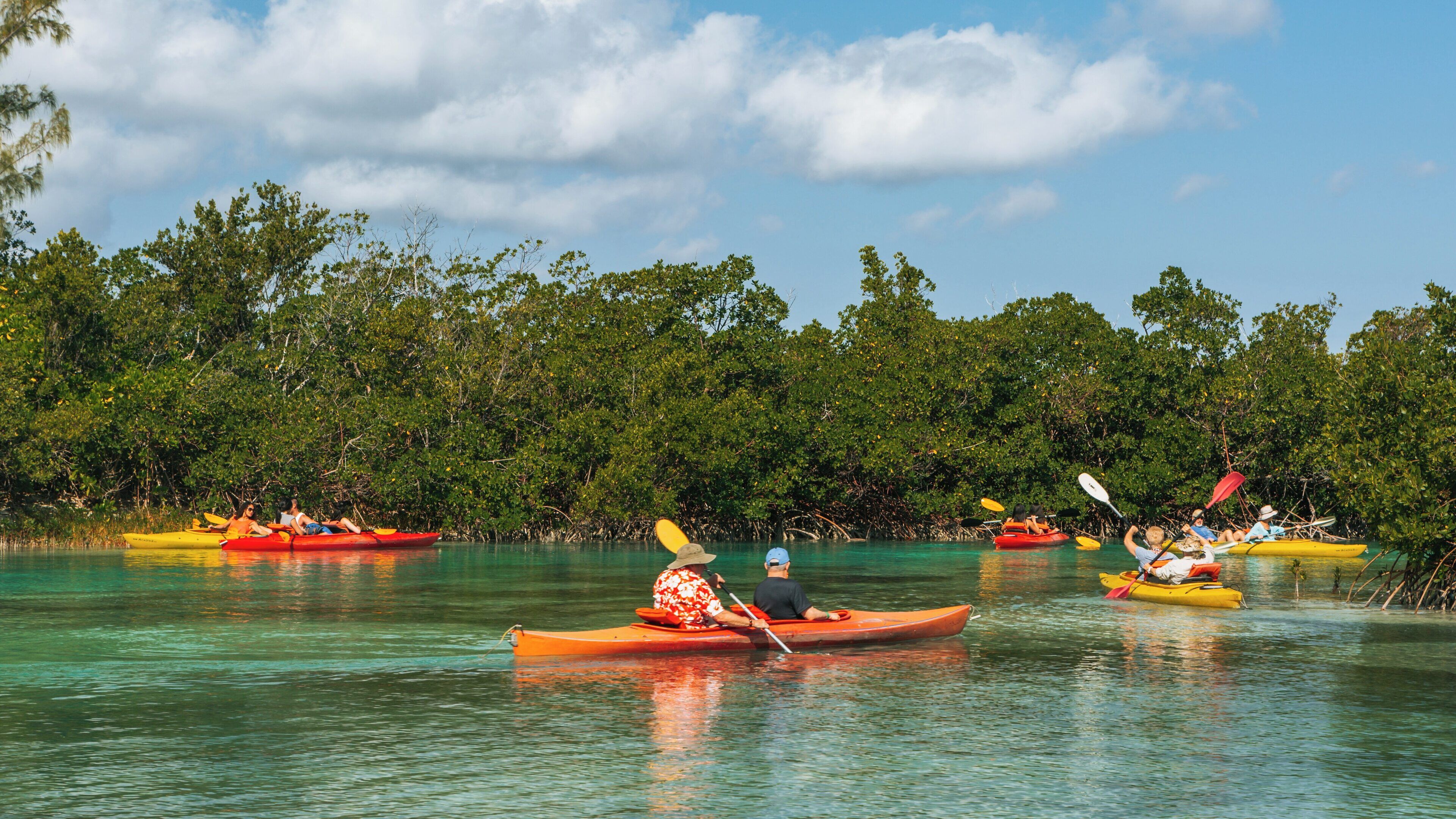 Kayakers explore the serene waters of Lucayan National Park in Freeport, West Grand Bahama, surrounded by lush mangroves on a sunny day