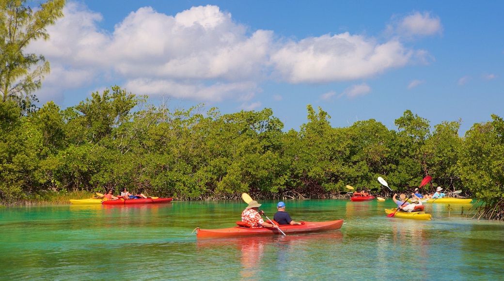 Lucayan National Park showing mangroves, a lake or waterhole and kayaking or canoeing