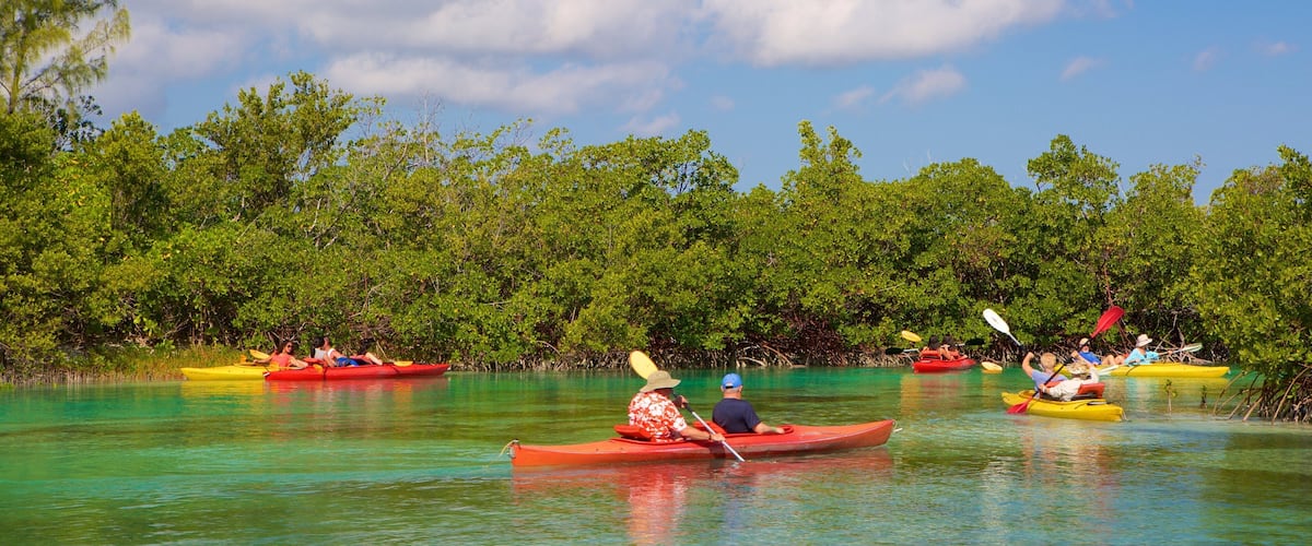 Parque Nacional Lucayan ofreciendo manglares, un lago o abrevadero y kayak o canoa