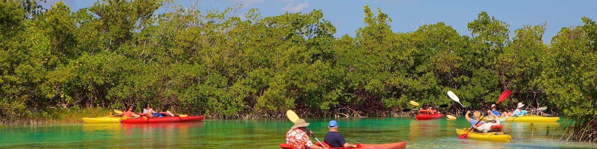 Lucayan National Park featuring a lake or waterhole, mangroves and kayaking or canoeing
