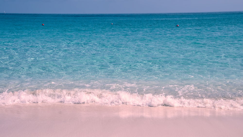 The pink sand beach on Harbour Island, Bahamas