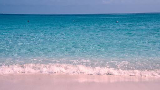 The pink sand beach on Harbour Island, Bahamas
