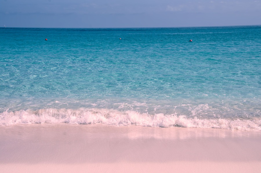 The pink sand beach on Harbour Island, Bahamas
