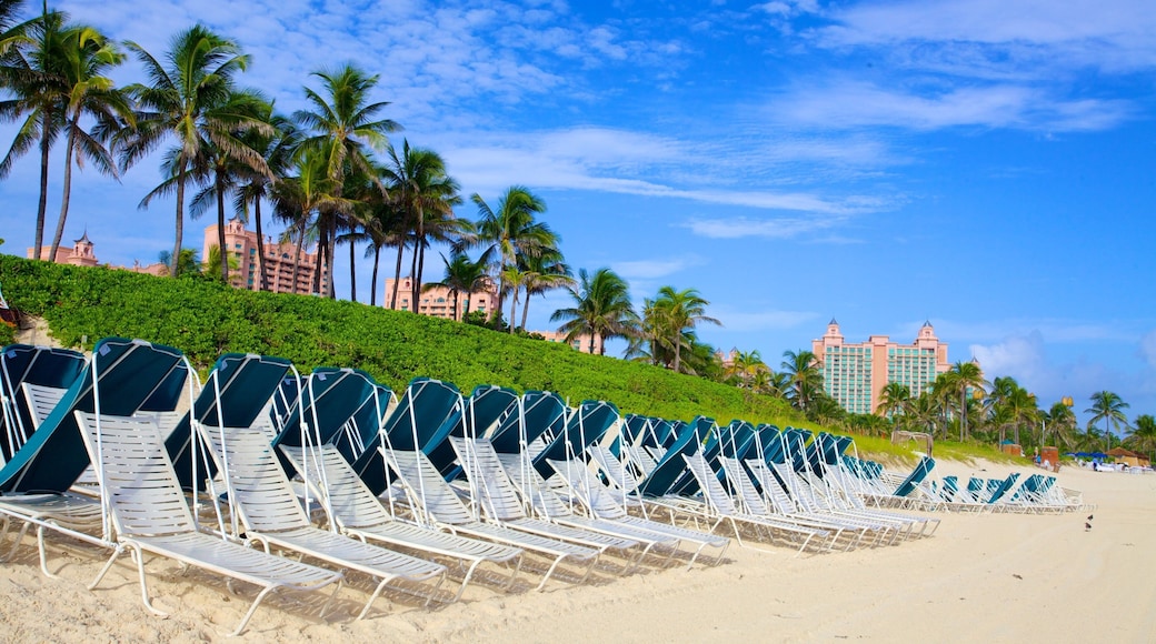Cabbage Beach som viser tropisk landskap, luksushotell eller resort og sandstrand