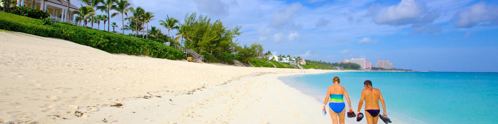 Cabbage Beach showing tropical scenes, a beach and landscape views