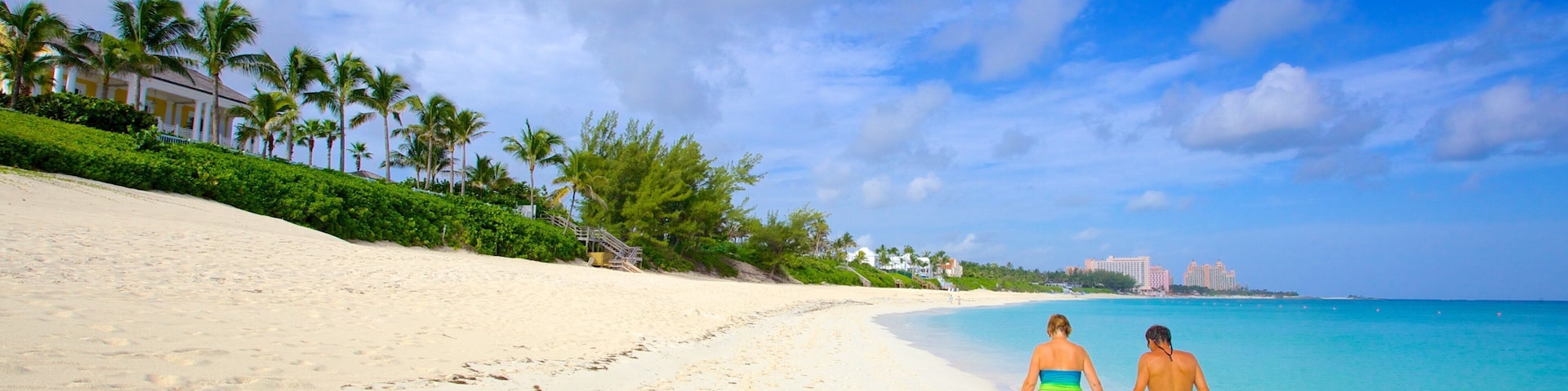 Cabbage Beach caracterizando paisagem, cenas tropicais e uma praia de areia