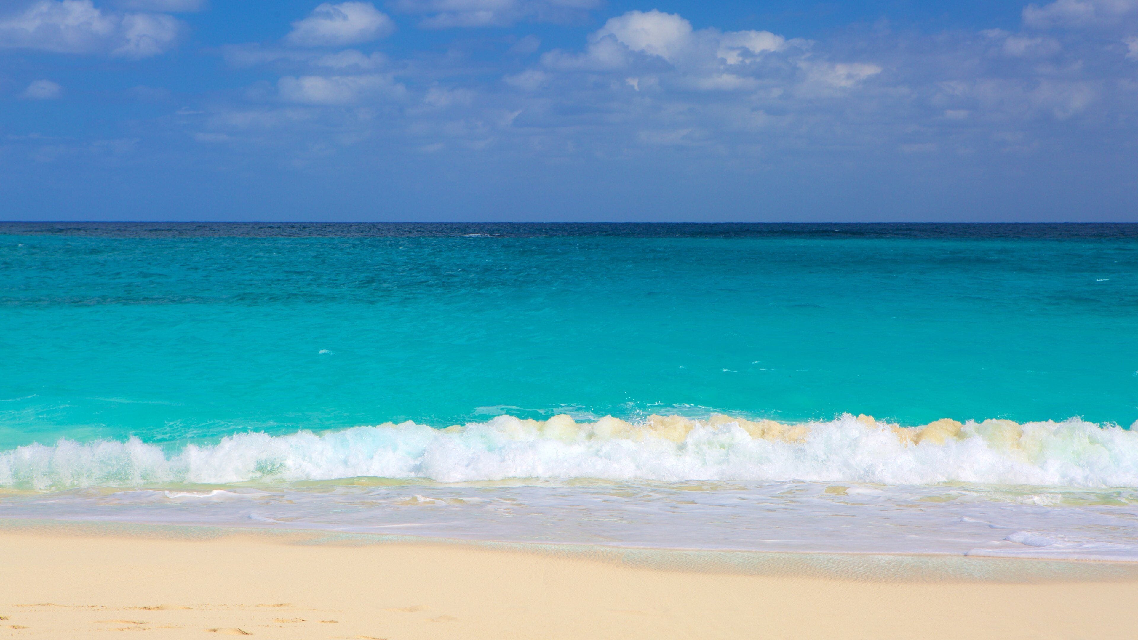 Bãi biển Cabbage cho thấy bãi biển cát
