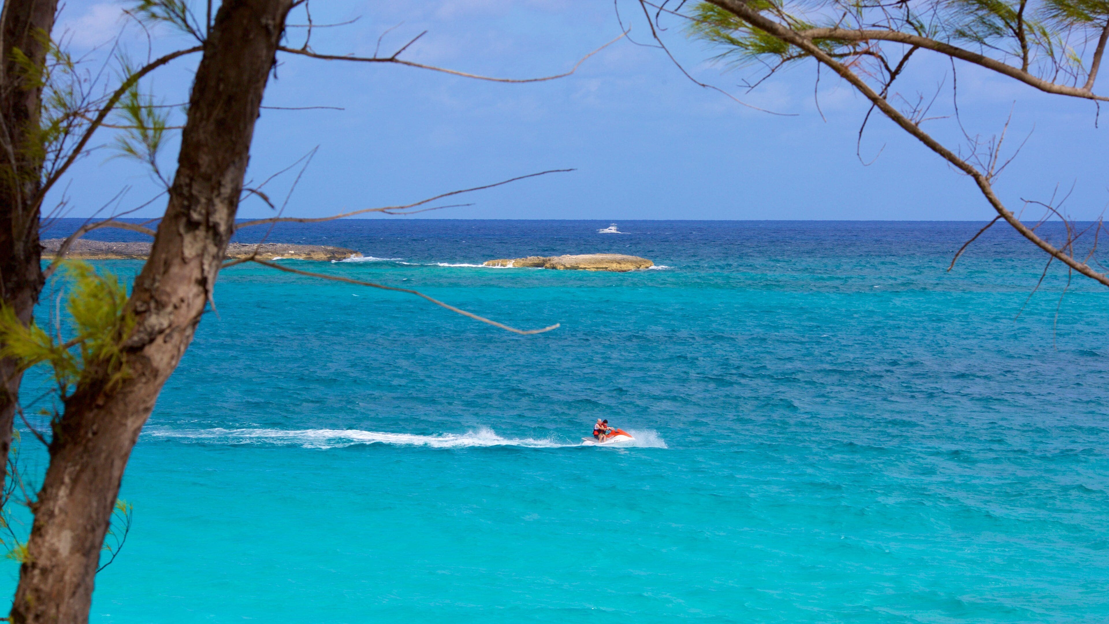 Cabbage Beach which includes jet skiing and general coastal views