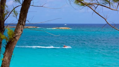 Cabbage Beach which includes jet skiing and general coastal views