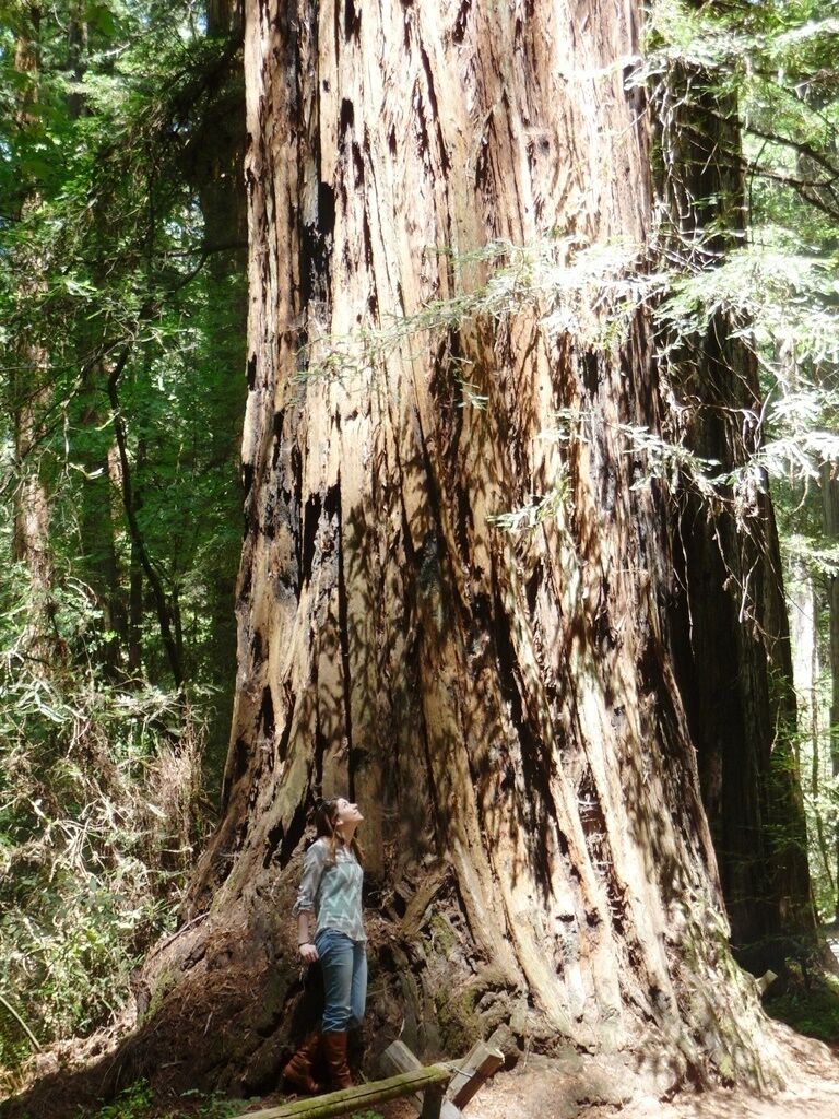 Although still awe-inspiring and an absolutely beautiful place to hike, I honestly thought they'd be bigger...