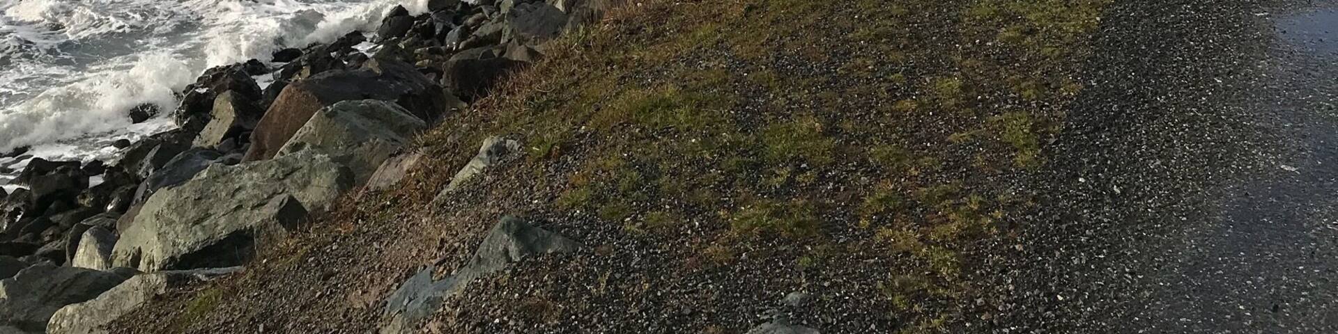 Stunning scenery and so happy to have a few minutes of sun just as we popped out of groves of hundreds of magnificent Redwoods to this view