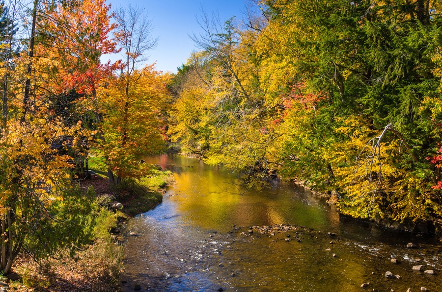 Gorgeous Autumn Colours along a Mountain River and Blue Sky. Adirondacks, NY., Shutterstock ID 657116851, purchase_order: SP-1269 HA 2018 Batch 1, Order: , client: , other: