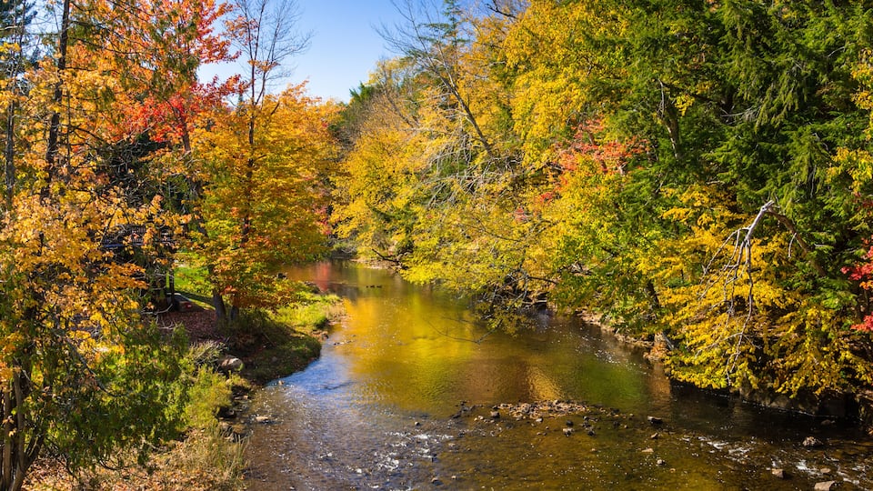A river surrounded by autumn-colored trees.