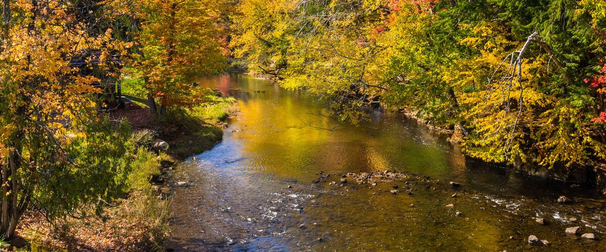A river surrounded by autumn-colored trees.