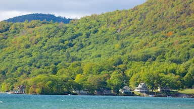 A lake with houses on the shore and a forested hill in the background.