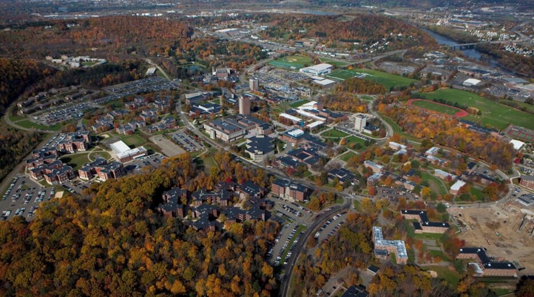 Binghamton University