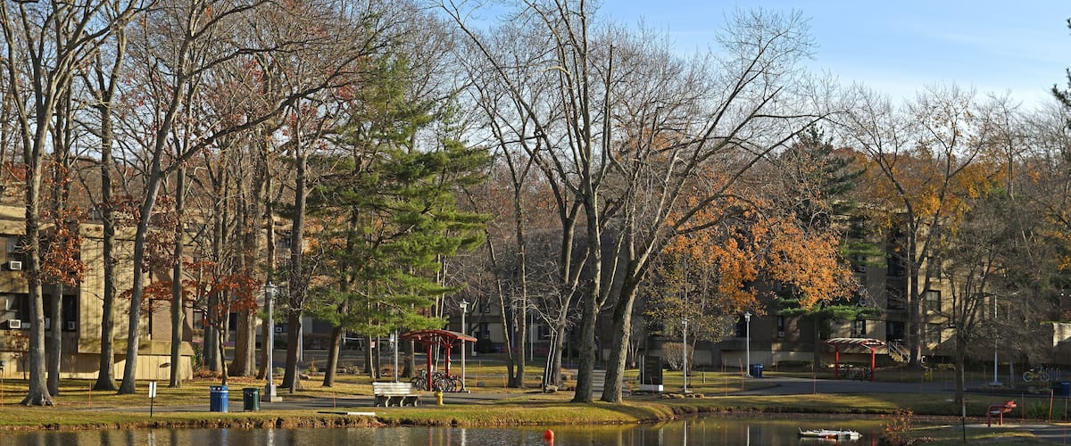 Stony Brook University (SBU), public research university in Stony Brook, New York area, United States, on Long Island. Sunny autumn day