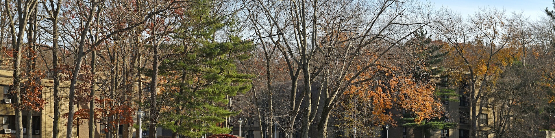 Stony Brook University (SBU), public research university in Stony Brook, New York area, United States, on Long Island. Sunny autumn day