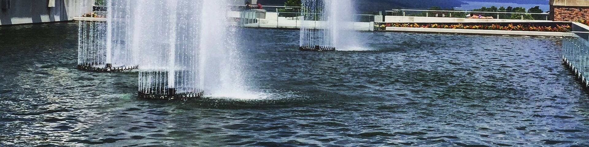Views of Cayuga Lake are beautiful from campus. One of nicest visitors centers I've seen.