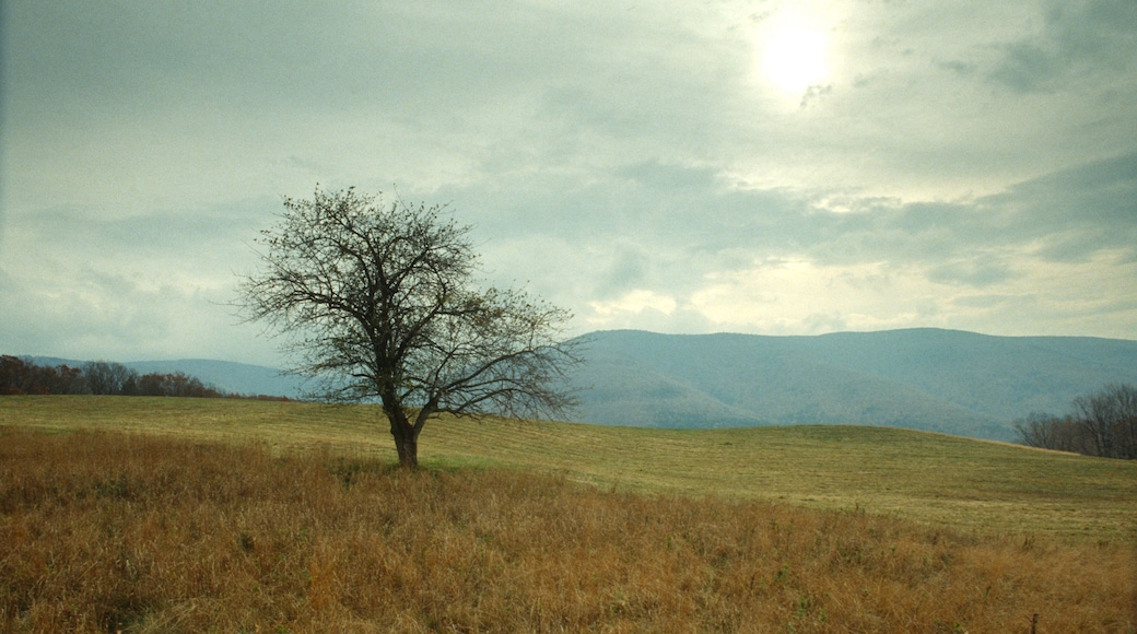Hunter Mountain Ski Resort