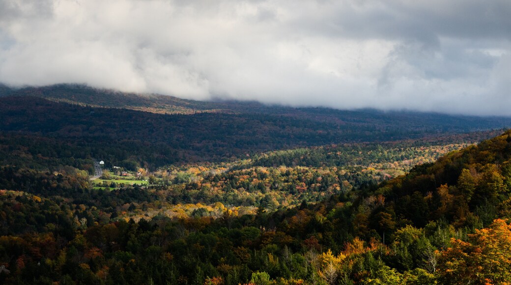 Catskills, NY Hunter Mountain OCTOBER early Fall Autumn Leaves Foliage