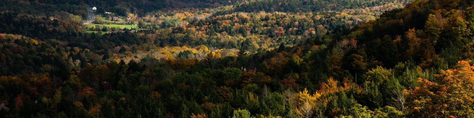 Catskills, NY Hunter Mountain OCTOBER early Fall Autumn Leaves Foliage