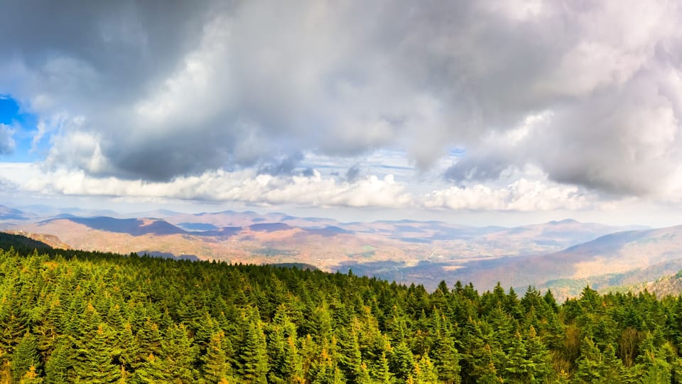 A dense forest with a mountain range in the background under a cloudy sky.