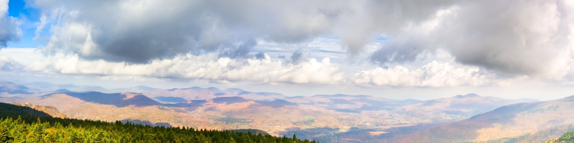 A dense forest with a mountain range in the background under a cloudy sky.