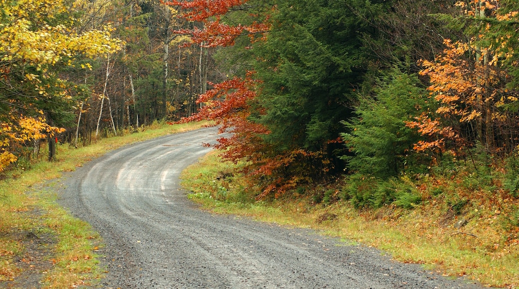 Hunter Mountain Ski Resort