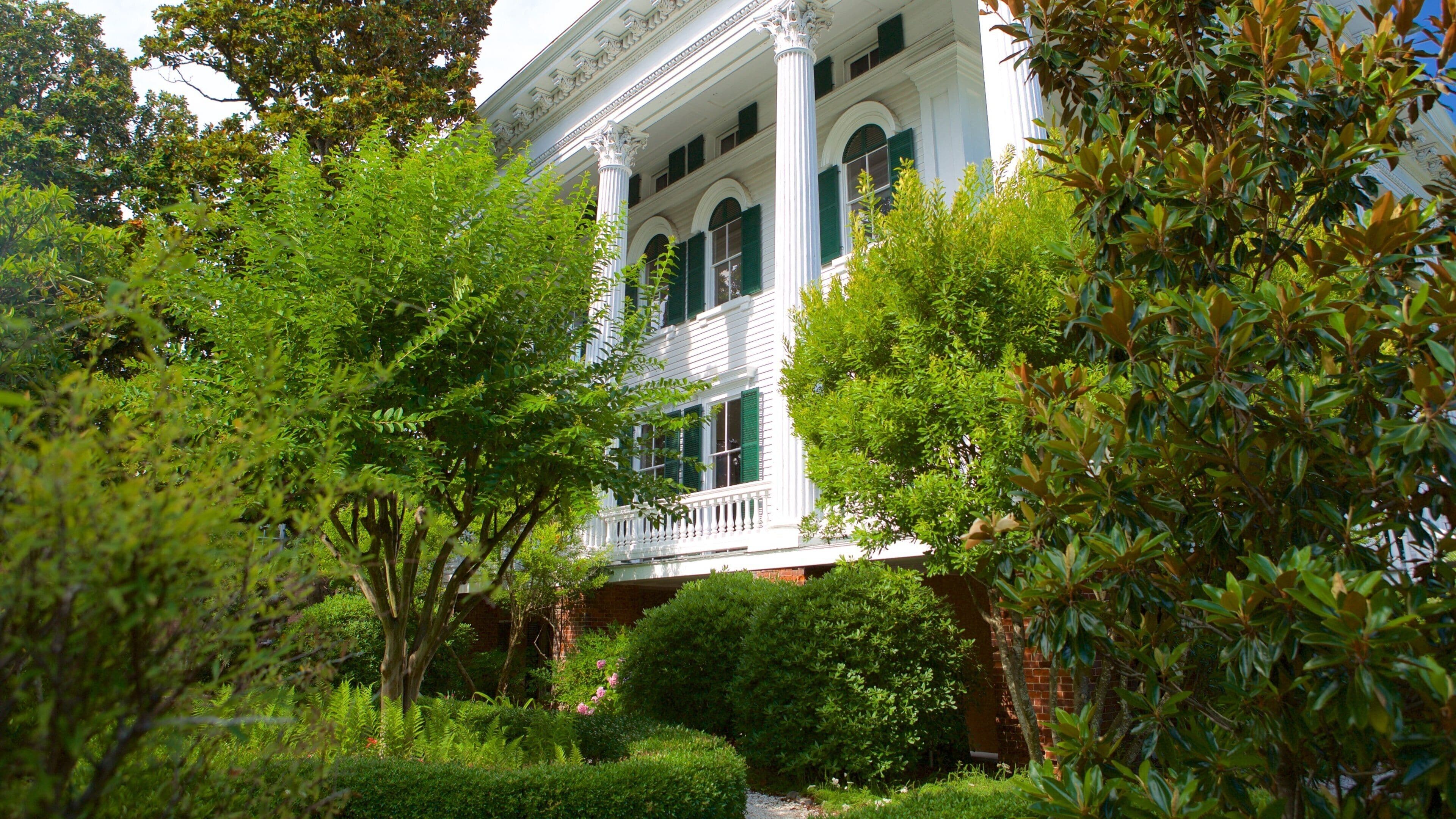 Bellamy Mansion Museum showing heritage architecture and a house