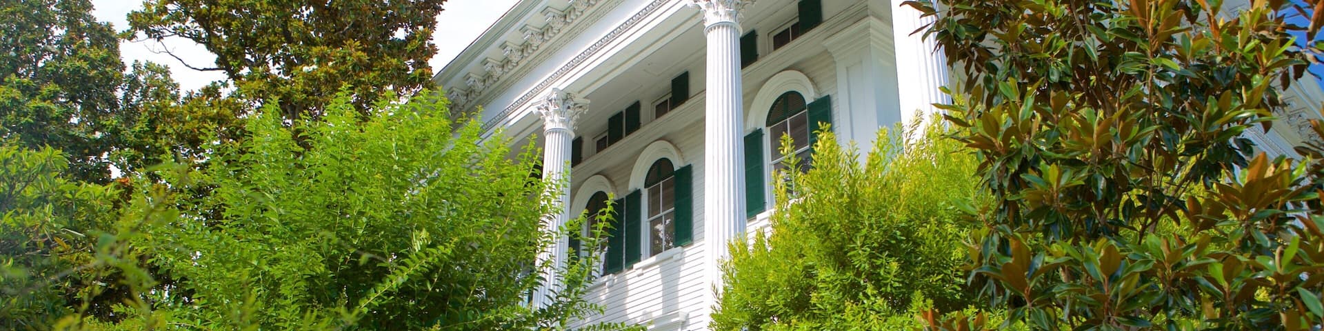 Bellamy Mansion Museum showing heritage architecture and a house