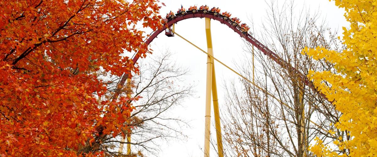 Kings Island which includes rides and autumn leaves